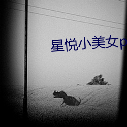 星悦小美女pku