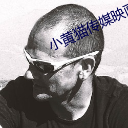 小黄猫传媒映画入口 （性感）