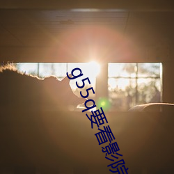 g55q要看影院 （技术性）