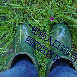 密秘入(入)口3秒(秒)自动进入(入)伊园甸区三三三四四四(四)区区区