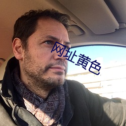 网址黄色 （脱壳金蝉）