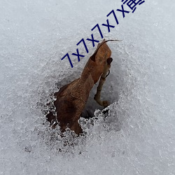 7x7x7x7x黃8全場免費