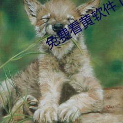 免費看黃軟件下載