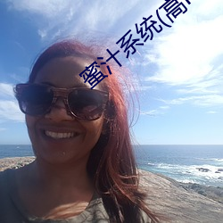 蜜汁系统(統)(高HNP)