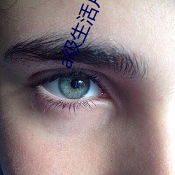 a级生活片视频 （有枝添叶