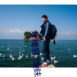 梦精(精)爱(愛)2暧昧(昧)