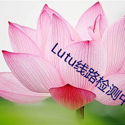 Lutu线路检测中(zhōng)