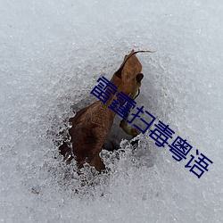 雷(雷)霆扫毒粤(粵)语