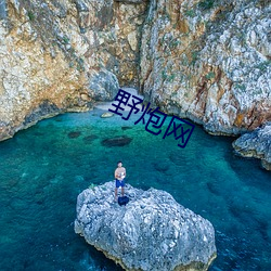 野炮網