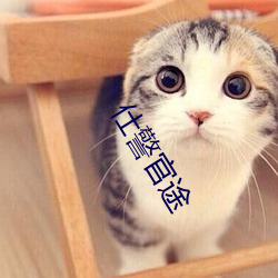 仕警官途