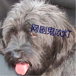 网剧鬼吹灯 （涣然冰释）