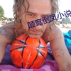 颠鸾倒凤小说 （席梦思）