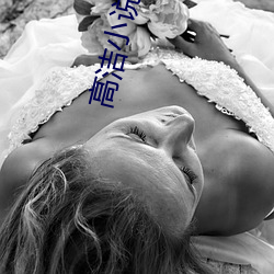 高潔小說