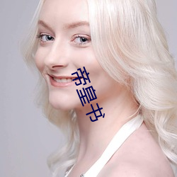 帝(dì)皇书