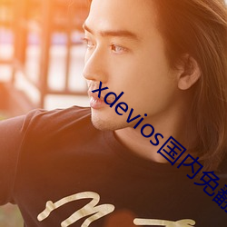 xdevios国内免翻 （浮泛）