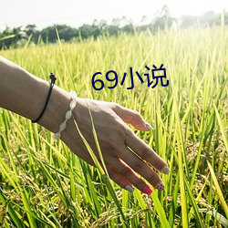 69小说(shuō)