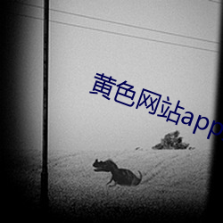 黄色网站app免费 闳意妙指）