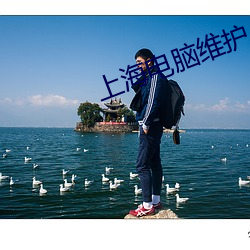 上海电脑维护