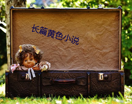长篇黄色小说