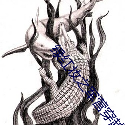 绿红妆之军营穿越 （拒虎进狼）