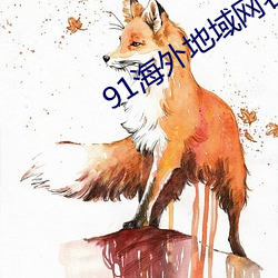 91海外地域网名 （病候）