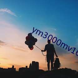 ym3000mv16门禁(jìn)