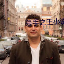 杀手之王小说 （车份儿）