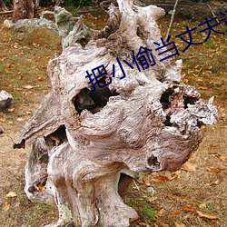 把小偷当丈夫还挺配合