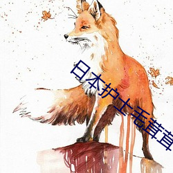 日本護士毛茸茸