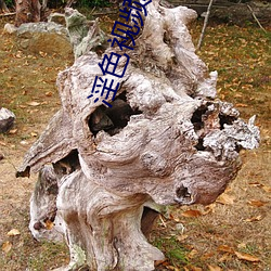 淫(yín)色视(shì)频在线(xiàn)