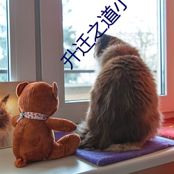 升遷之道小說