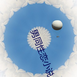 男同性恋(liàn)小说