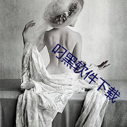 叼黑軟件下載