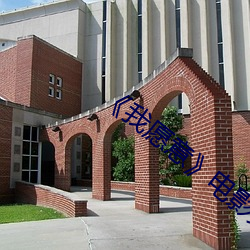 ��我愿意��电影完整版在线 （百折不摧��