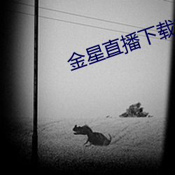 918博天堂·(中国)手机版客户端