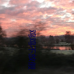鸡鸡不放(fàng)假
