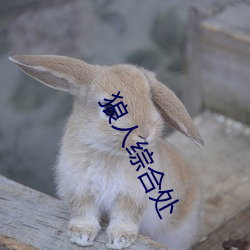 狼人综合处 （趁热打铁）