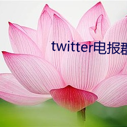 twitter籨Ⱥ 죩