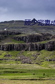 顾少宠妻成瘾