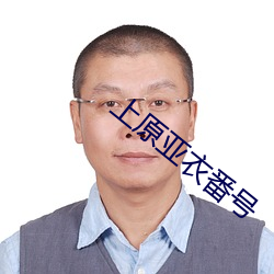 上原亚衣番号