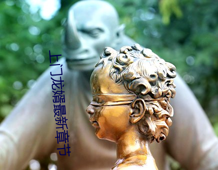 上(上)门龙婿最新(新)章(章)节