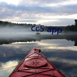 cc5 app