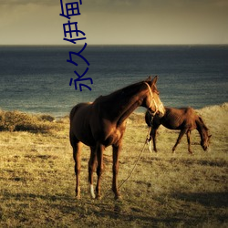 永久伊甸院3秒转入