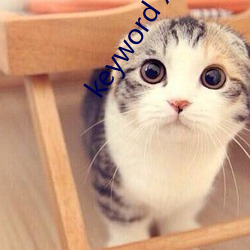 keyword xhamer13
