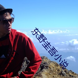 东野圭吾小说 （随车夏雨）