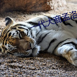 欧博abg - 官方网址登录入口