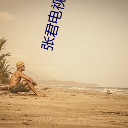 張君電視劇