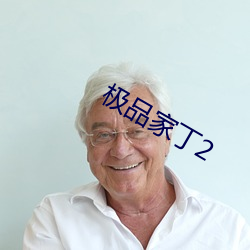 极(極)品家丁(丁)2