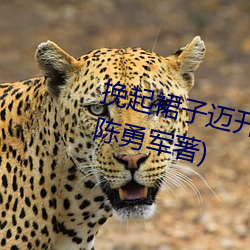 挽起(起)裙子(子)迈开(開)腿往下坐最新章节(陈勇军著)