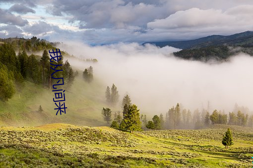 我从世间来 （鸡犬不闻）